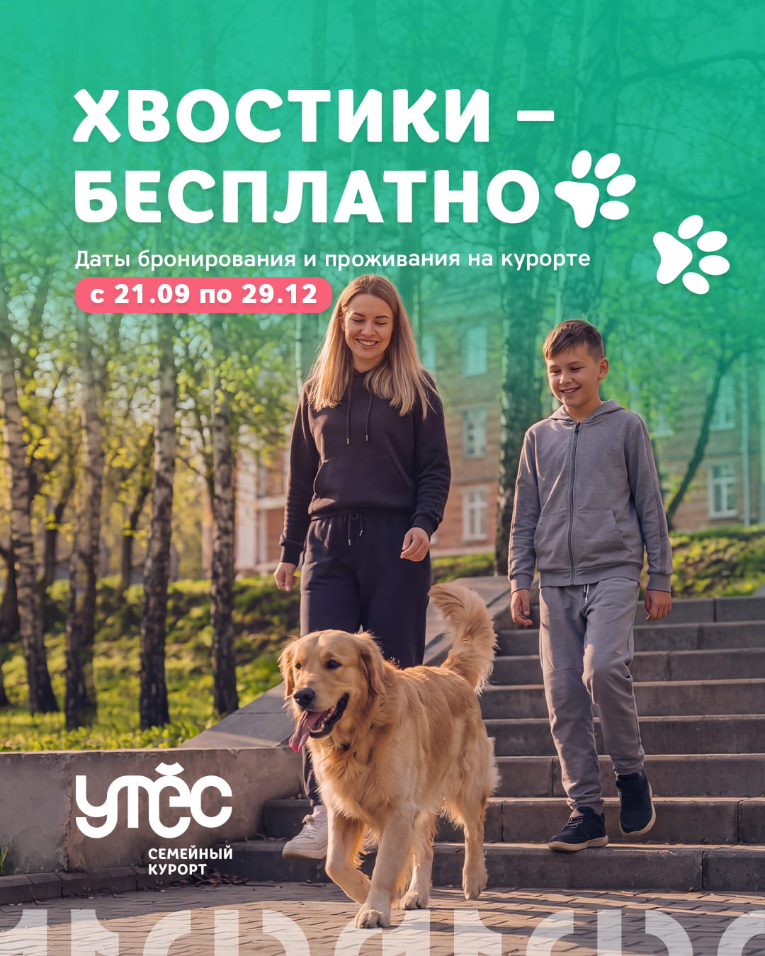 Хвостики - бесплатно