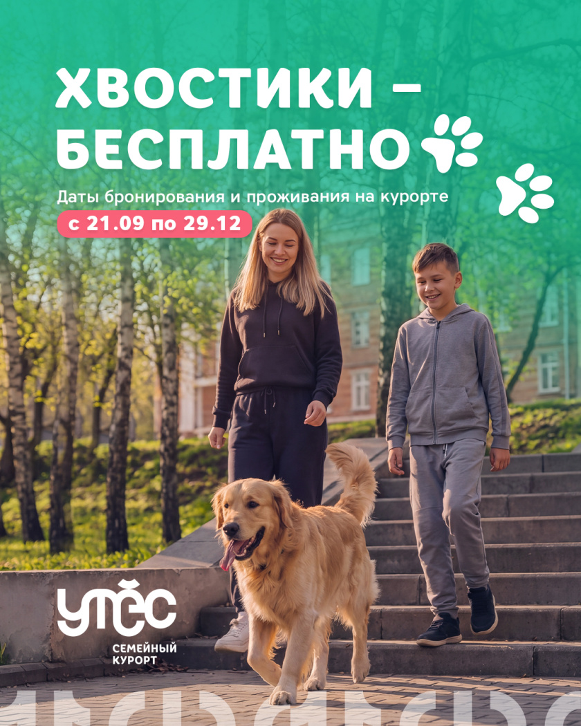 Хвостики - бесплатно