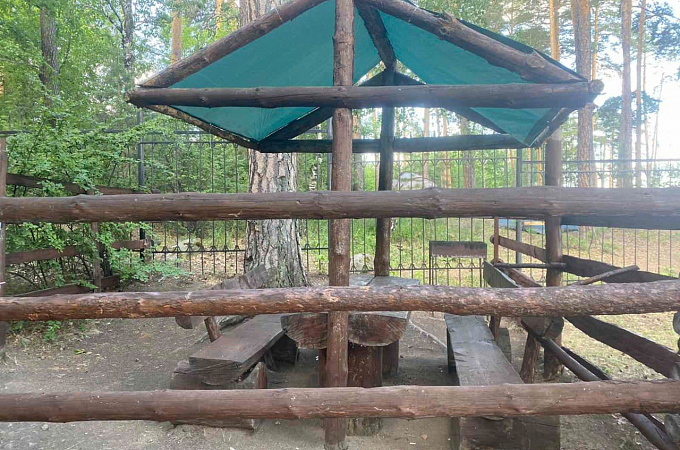 Зоны для пикника