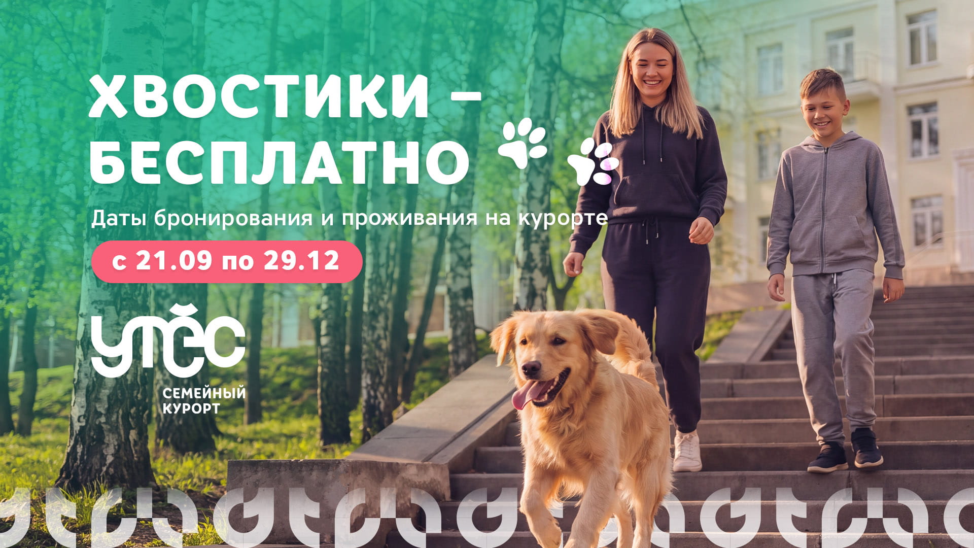 Отдых с собакой на курорте «Утёс» — прогулка по осеннему лесу у озе